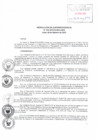 Vista preliminar de documento RS-024-2015
