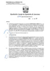 Vista preliminar de documento RCONAS-374-2020-PRODUCE-CONAS-UT