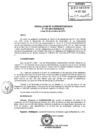 Vista preliminar de documento RS-107-2013