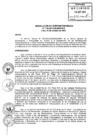Vista preliminar de documento RS-110-2013