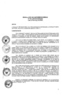 Vista preliminar de documento RS-51-2013