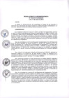 Vista preliminar de documento RS-13-2013