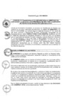Vista preliminar de documento 2015
