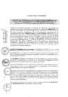 Vista preliminar de documento 2015