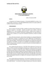 Vista preliminar de documento res_PE_055_2020
