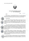 Vista preliminar de documento res_PE_025_2020