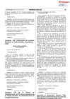 Vista preliminar de documento RS-011