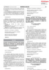 Vista preliminar de documento RS-019