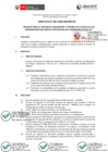 Vista preliminar de documento Directiva_002_2020_IMARPE_PE