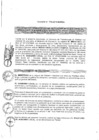 Vista preliminar de documento 2015