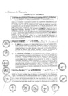 Vista preliminar de documento 2015