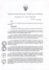Vista preliminar de documento RES 162-SGE