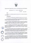 Vista preliminar de documento RES 207-SGE