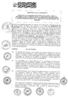 Vista preliminar de documento 2015