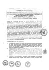 Vista preliminar de documento 2015
