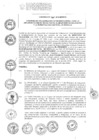 Vista preliminar de documento 2015
