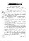 Vista preliminar de documento RD 170-2019-DE-UE005-PENL-VMPCICMC