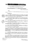 Vista preliminar de documento RD 169-2019-DE-UE005-PENL-VMPCICMC