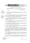 Vista preliminar de documento RD 194-2019-DE-UE005-PENL-VMPCICMC