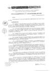 Vista preliminar de documento RD 202-2019-DE-UE005-PENL-VMPCICMC