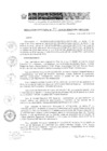 Vista preliminar de documento RD 197-2019-DE-UE005-PENL-VMPCICMC