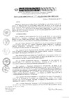 Vista preliminar de documento RD 209-2019-DE-UE005-PENL-VMPCICMC