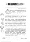 Vista preliminar de documento RD 210-2019-DE-UE005-PENL-VMPCICMC