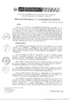 Vista preliminar de documento RD 217-2019-DE-UE005-PENL-VMPCICMC