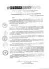 Vista preliminar de documento RD 216-2019-DE-UE005-PENL-VMPCICMC