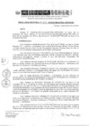 Vista preliminar de documento RD 223-2019-DE-UE005-PENL-VMPCICMC