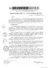 Vista preliminar de documento RD 222-2019-DE-UE005-PENL-VMPCICMC