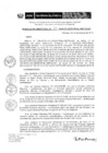 Vista preliminar de documento RD 231-2019-DE-UE005-PENL-VMPCICMC