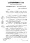 Vista preliminar de documento RD 233-2019-DE-UE005-PENL-VMPCICMC