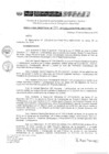 Vista preliminar de documento RD 236-2019-DE-UE005-PENL-VMPCICMC