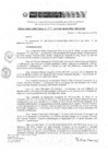 Vista preliminar de documento RD 257-2019-DE-UE005-PENL-VMPCICMC