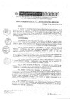 Vista preliminar de documento RD 258-2019-DE-UE005-PENL-VMPCICMC