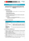 Vista preliminar de documento Proceso de práctica profesional
