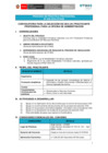 Vista preliminar de documento Proceso de práctica profesional