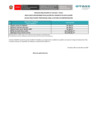 Vista preliminar de documento Resultados preliminares