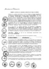 Vista preliminar de documento 2016