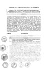 Vista preliminar de documento 2017