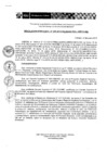 Vista preliminar de documento RD 009-2018-DE-UE005-PENL-VMPCICMC