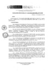 Vista preliminar de documento RD 131-2018-DE-UE005-PENL-VMPCICMC