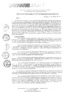 Vista preliminar de documento RD 195-2018-DE-UE005-PENL-VMPCICMC
