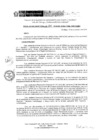 Vista preliminar de documento RD 225-2018-DE-UE005-PENL-VMPCICMC