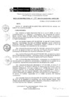 Vista preliminar de documento RD 234-2018-DE-UE005-PENL-VMPCICMC