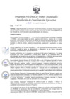 Vista preliminar de documento 339