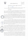 Vista preliminar de documento rer_199_2020_gr