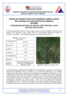 Vista preliminar de documento Informe.sismo.Loreto.260519