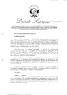 Vista preliminar de documento 2009